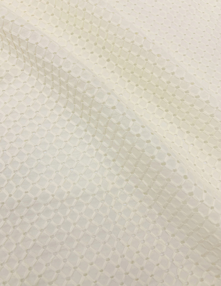 SS191210-EMB30 Ivory White Novelty Dimensional Eyelet Fabric